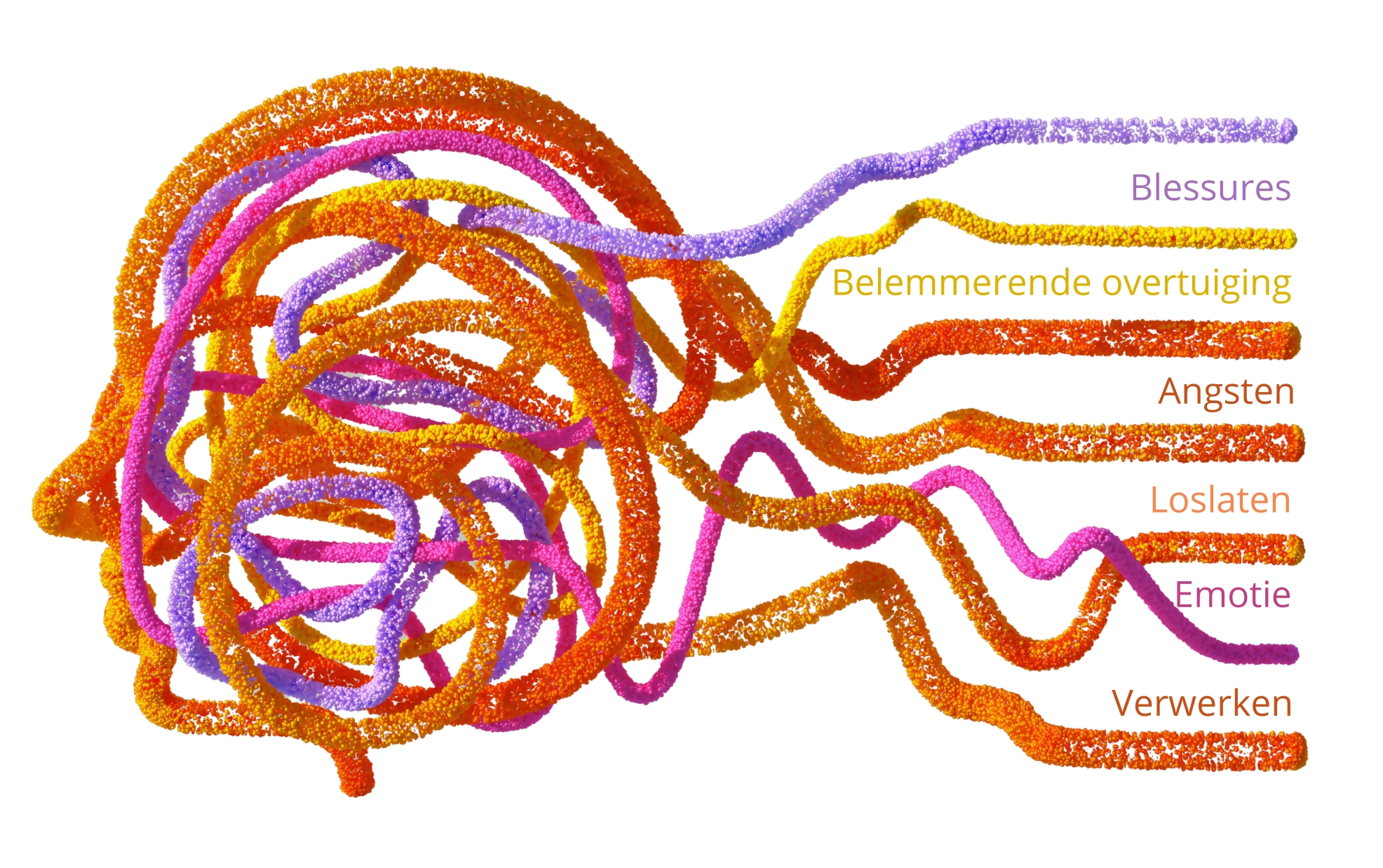 Afbeeldingen / NEI 2